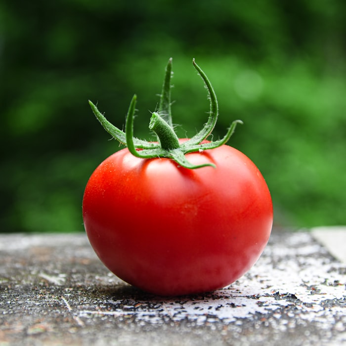 Ripe Red Tomatoes
