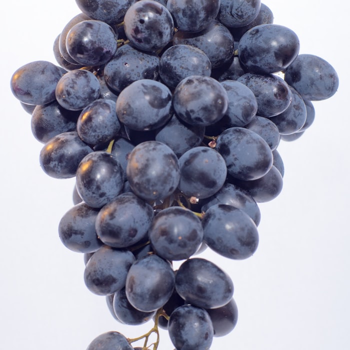 Seedless Black Grapes